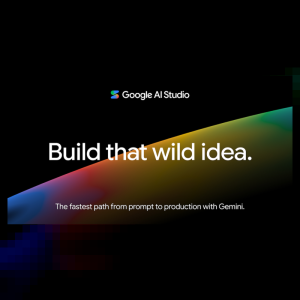 Google AI Studio Pro   Developer API Access