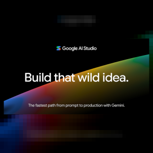 Google AI Studio Pro   Developer API Access